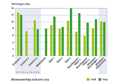Biomasseerträge 2018 und 2019 (Ergebnisse aus dem Projekt „Monitoring zur Nährstofffixierung durch mehrjährige Wildpflanzen auf Praxisflächen in Niedersachsen“)
