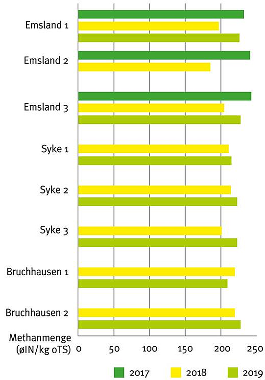Methanertrag aller untersuchten Wildpflanzenproben der Jahre 2017-2019